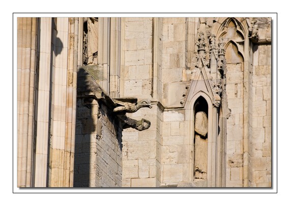 IMG_6568 copy